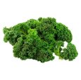 Air Purifiers & Accessories